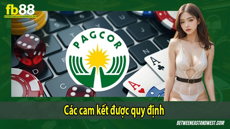 Các cam kết được quy định