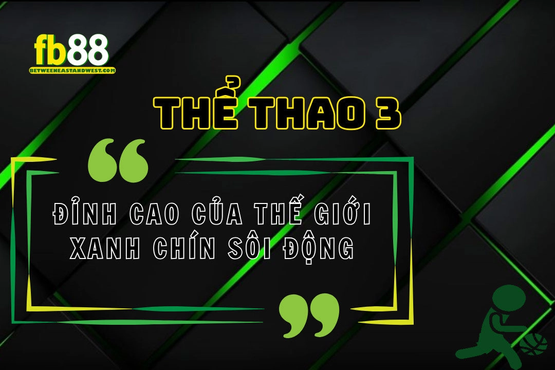 Thể thao 3