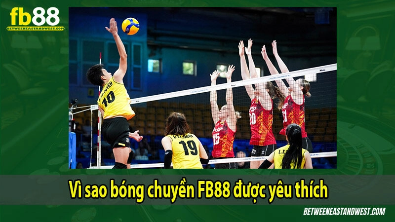 Vì sao bóng chuyền FB88 được yêu thích